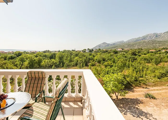 In With Wifi * Seline